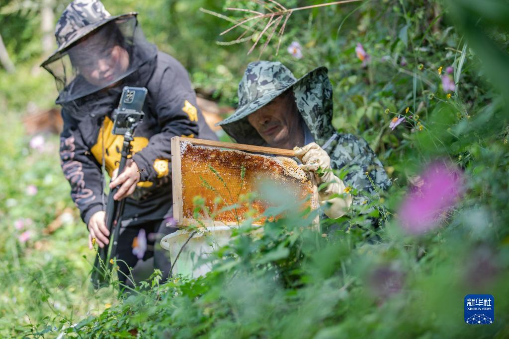 什么软件注册就领红包